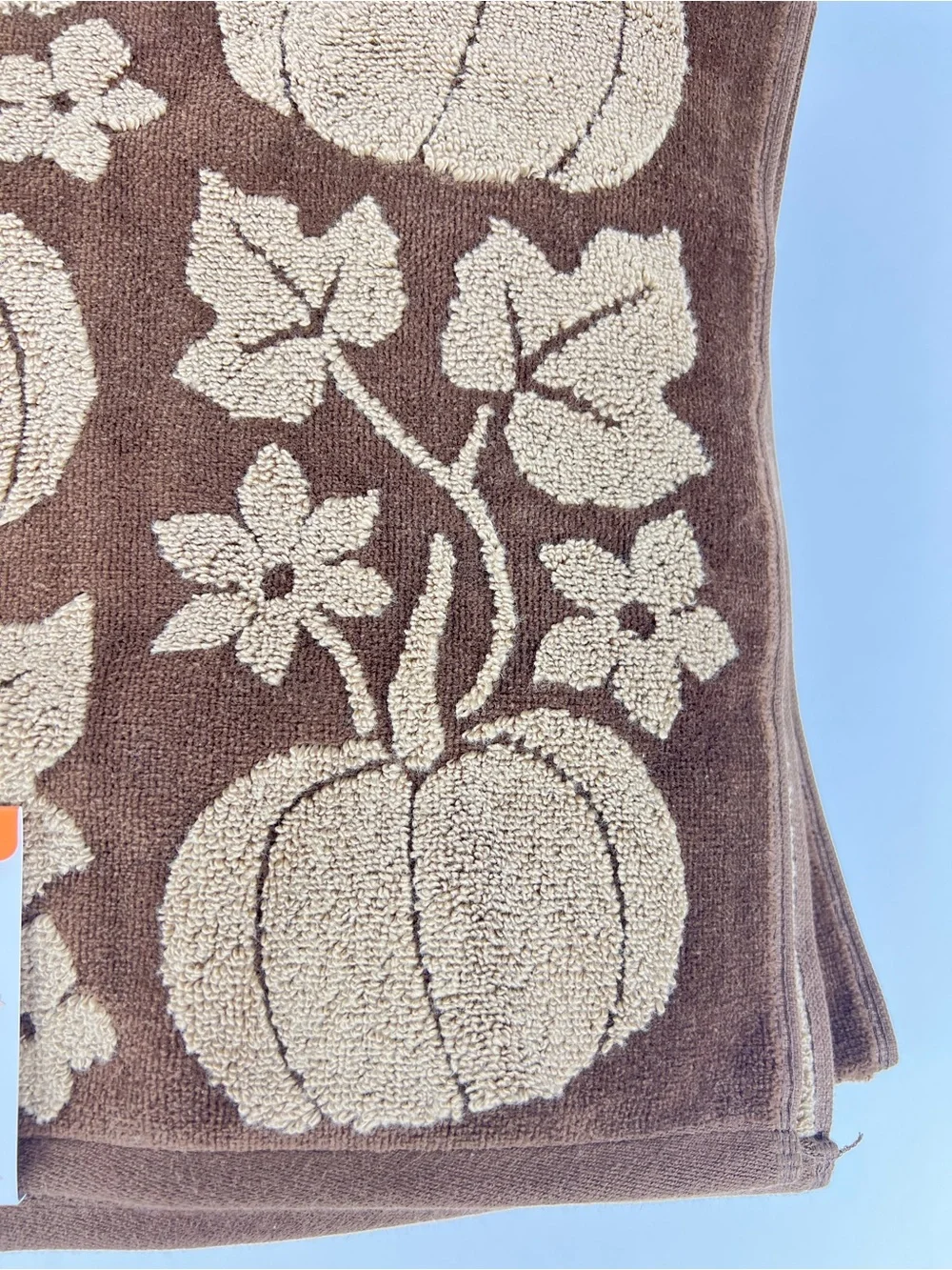 Caro Home Bath Towels Pumpkins Leaves Brown Tan Soft Cotton FALL Decor  2 Pc NEW